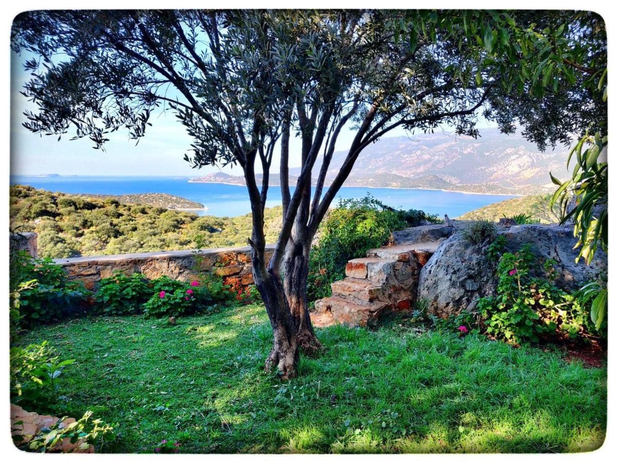 Olivia Homes Kaş Buitenkant foto