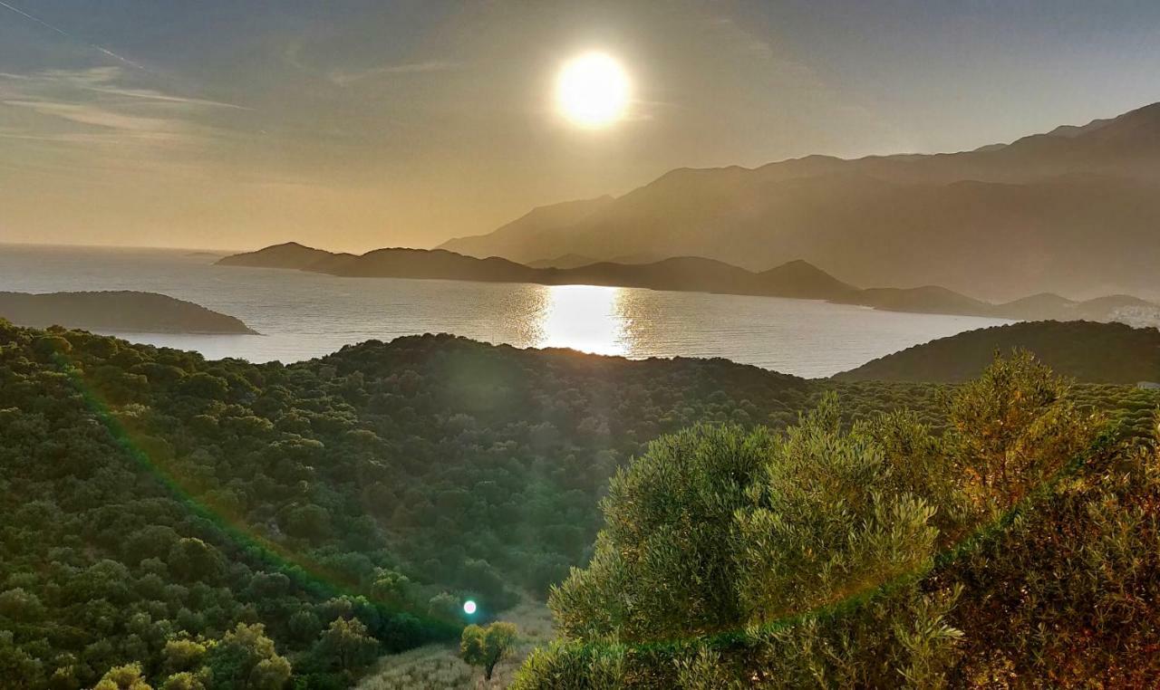 Olivia Homes Kaş Buitenkant foto